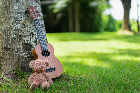 Ukulele guitar with bear doll under the tree on green grass field with sunlightの写真素材