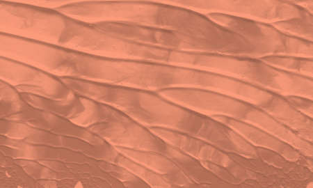 An abstract acrylic painting background with melon color. Oil painting on canvas. Color texture....