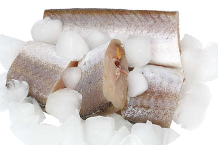 hake raw slices with ice cubes isolated on a white backgroundの写真素材