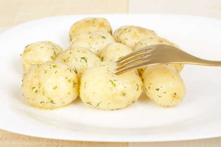 Early potatoes boiled with dill closeupの写真素材