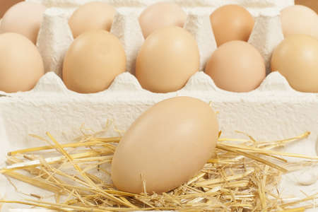 chicken egg in the pan a few pieces closeup