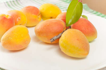Fresh apricot big beautiful closeup
