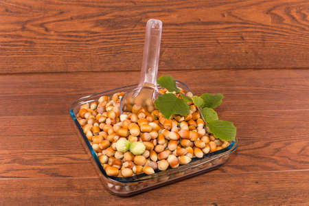 cultivated a wood nut hazelnuts closeup