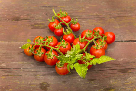 branch with cherry tomato varieties on wooden tableの写真素材
