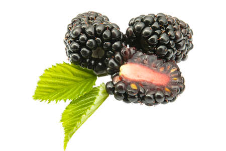 Large ripe blackberry with half isolated on white background close-upの写真素材