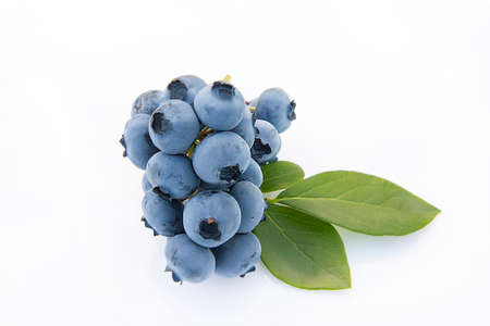 beautiful blueberries with green leaves close-up on a light backgroundの写真素材