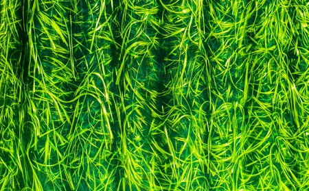 background of abstract texture of fiber volume