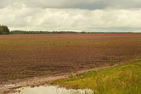 The image village plowed field on a cloudy dayの写真素材