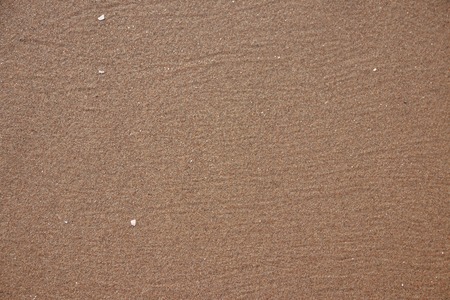 the image a wet sand beach backgroundの写真素材