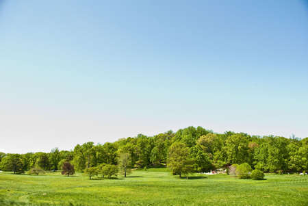 U.S. National Arboretum Parkの写真素材
