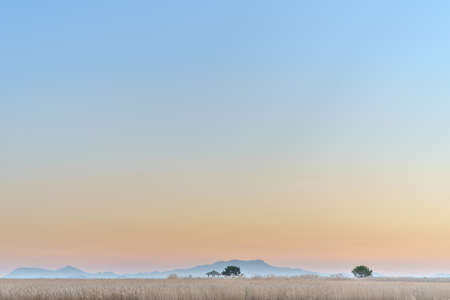 skylineの写真素材