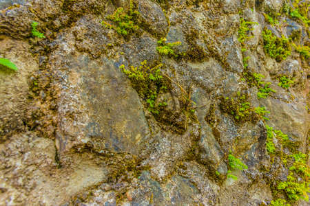 Rock wall for texture and backgroundの写真素材