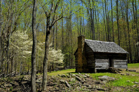 Log Cabin with blooming dogwood treesの写真素材