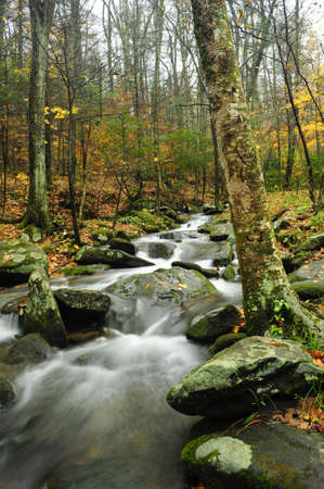 A slow moving creek in the smoky mountainsの写真素材