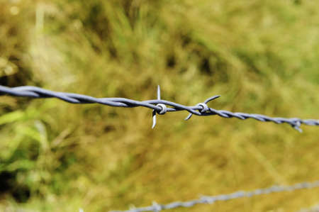 Two strands of barbwire fencing with a yellow fall background