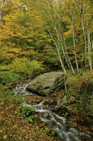 A small creek flowing thru the fall colorsの写真素材
