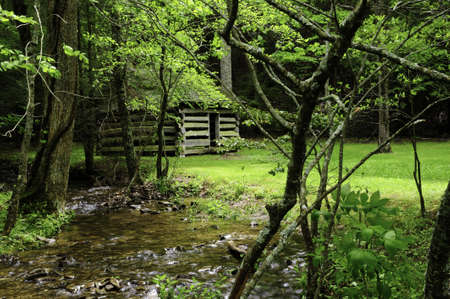 A historic log cabin in the forest at Smoky Mountain National Parkの写真素材