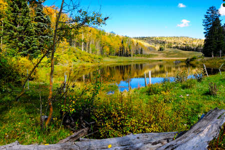 Trees reflecting in a pond in Coloradoの写真素材