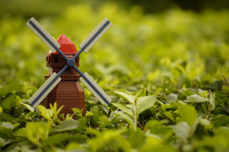 Windmill in the fieldの写真素材