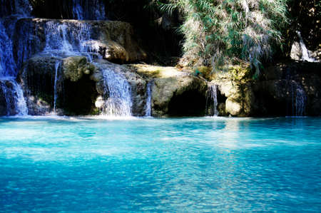Water in the pondの写真素材