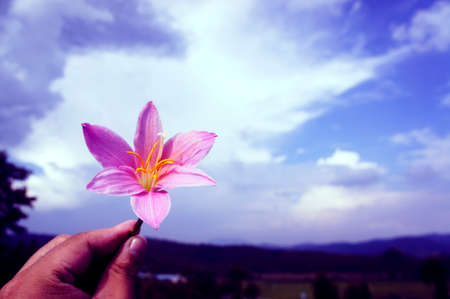 People holding the flowerの写真素材