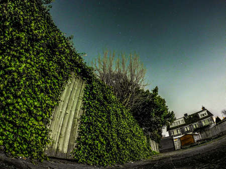 Nightの写真素材