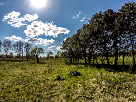 Dutch Meadowの写真素材