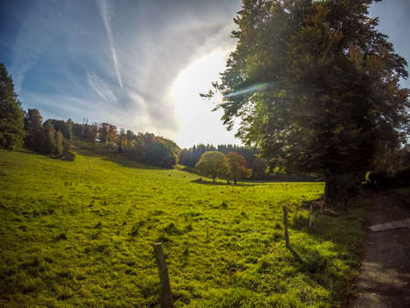 German heathの写真素材