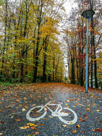 Cycle lane in the forest with fall colorsの写真素材