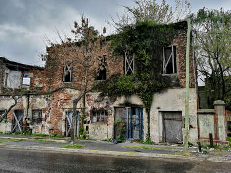 Overgrown house in Argentinaのeditorial素材