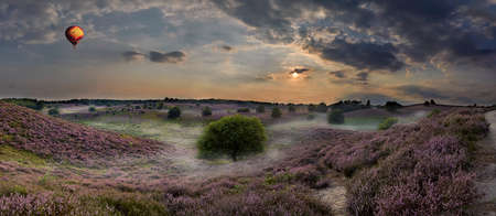 Hot air balloon flying over blooming heathの写真素材