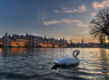 Gracious swan in front of historic building court pond The Hagueの写真素材