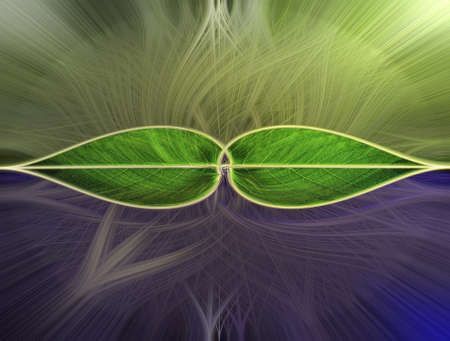 Abstract leafs with sunlight line patternの写真素材