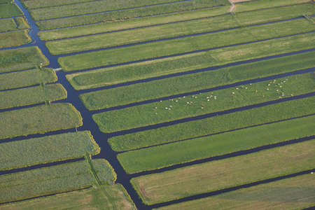 Aerial view of peat excavation meadow landscape with agricultural function near Vinkeveen in the Netherlandsの写真素材