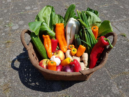 Basket filled with healthy vegetables groceriesの写真素材