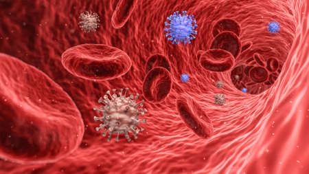 3D render image of corona virus in blood streamの写真素材