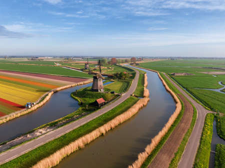 Aerial view of Dutch agricultural spring scene with classic windmill, colored tulip field and waterの写真素材