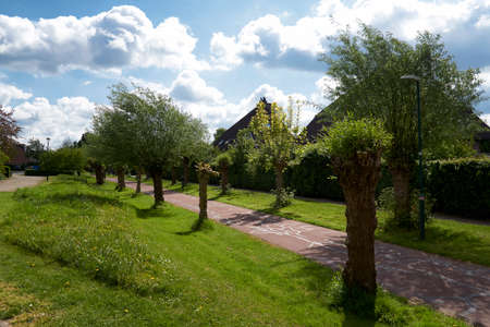 Residential street in the Netherlands with wide cycle lane, green hedge and no cars. Urbanism design for slow transportation neighborhoodの写真素材