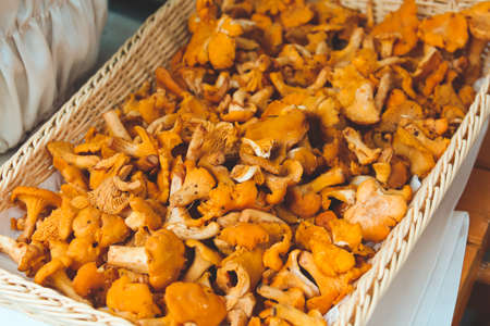 Fresh chanterelle mushrooms stacked in a wicker tray.の写真素材