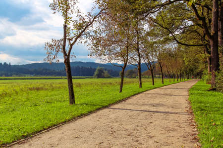 Beautiful walkway in the sun for jogging and biking.の写真素材