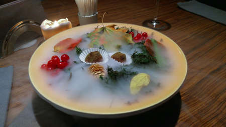 plate with dessert, decorated in autumn style: mist, berries and leaves, cones, haute cuisineの写真素材