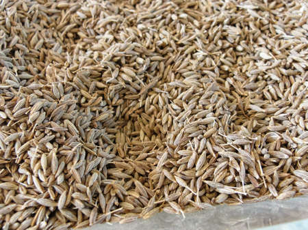The texture of anise grains on the market in Asia, top viewの写真素材