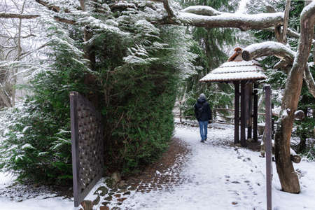 A man walks along a path in a park in winter, rear view