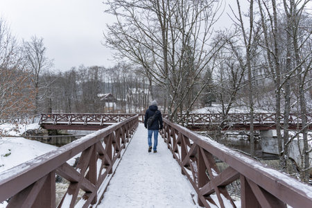 Rear view of a man walking on a wooden bridge in winter
