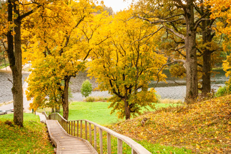 Wooden staircase from a hill near Dubingiai, Lithuania, to Lake Asveja in autumn. Beautiful autumn landscape.の写真素材