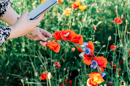 Woman takes a photo on her mobile phone of a wreath of wildflowers, red poppies and blue cornflowersの写真素材