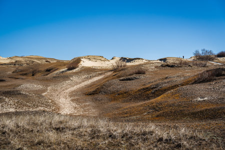 The Gray Dunes, or the Dead Dunes is sandy hills with a bit of green specks at the Lithuanian side of the Curonian Spit.の写真素材