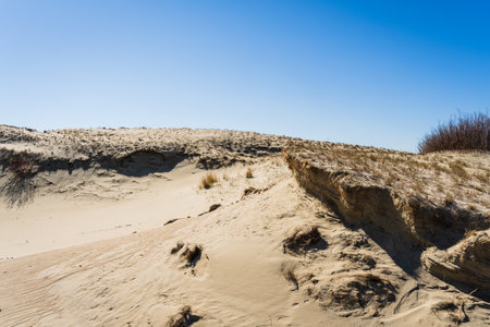 The Gray Dunes, or the Dead Dunes is sandy hills with a bit of green specks at the Lithuanian side of the Curonian Spit.の写真素材