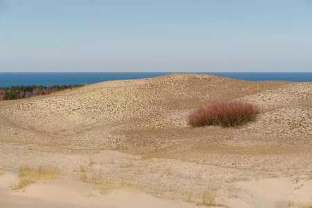 The Gray Dunes, or the Dead Dunes is sandy hills with a bit of green specks at the Lithuanian side of the Curonian Spitの写真素材