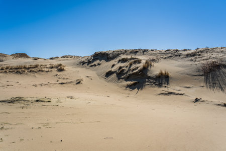 The Gray Dunes, or the Dead Dunes is sandy hills with a bit of green specks at the Lithuanian side of the Curonian Spitの写真素材